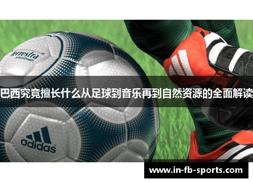 巴西究竟擅长什么从足球到音乐再到自然资源的全面解读