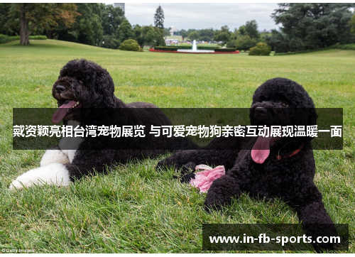 戴资颖亮相台湾宠物展览 与可爱宠物狗亲密互动展现温暖一面 戴资颖亮相台湾宠物展览 与可爱宠物狗亲密互动展现温暖一面