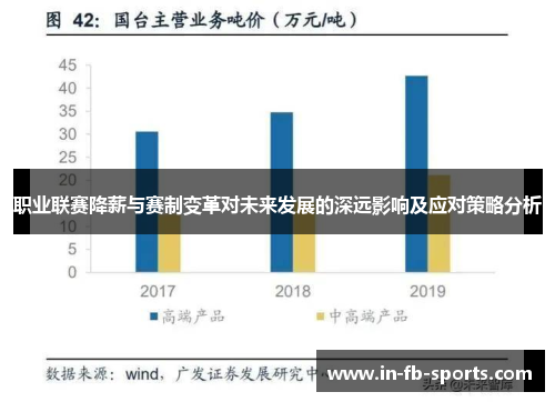 职业联赛降薪与赛制变革对未来发展的深远影响及应对策略分析